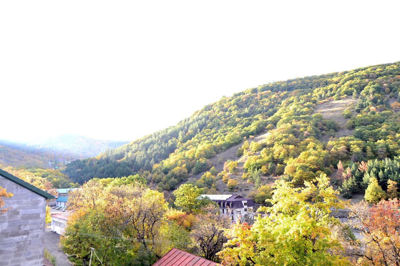تساجكادزور Villadzor Apart Hotel المظهر الخارجي الصورة