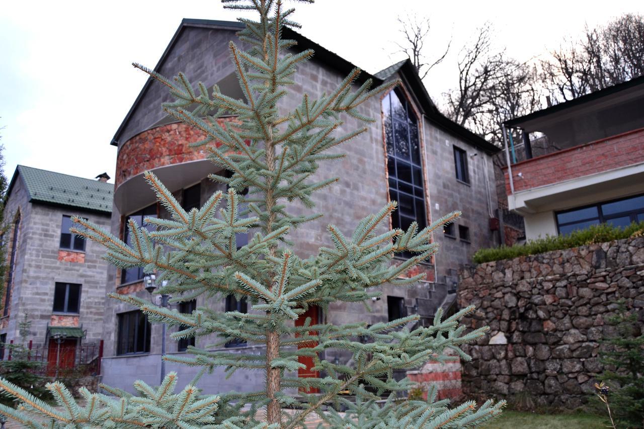 تساجكادزور Villadzor Apart Hotel المظهر الخارجي الصورة